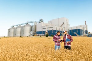 The Sec. 199A technical corrections fix the grain glitch